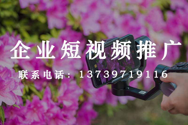 短視頻營(yíng)銷公司